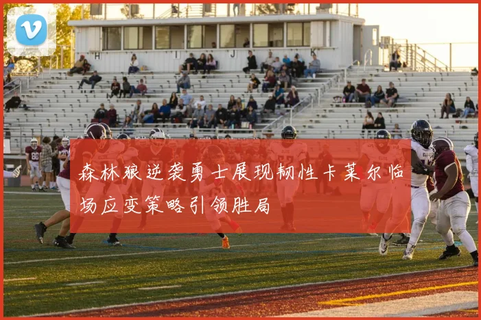 森林狼逆袭勇士展现韧性卡莱尔临场应变策略引领胜局